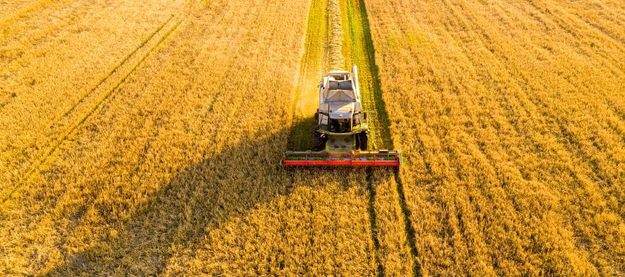 Digital marketing per l'agricoltura