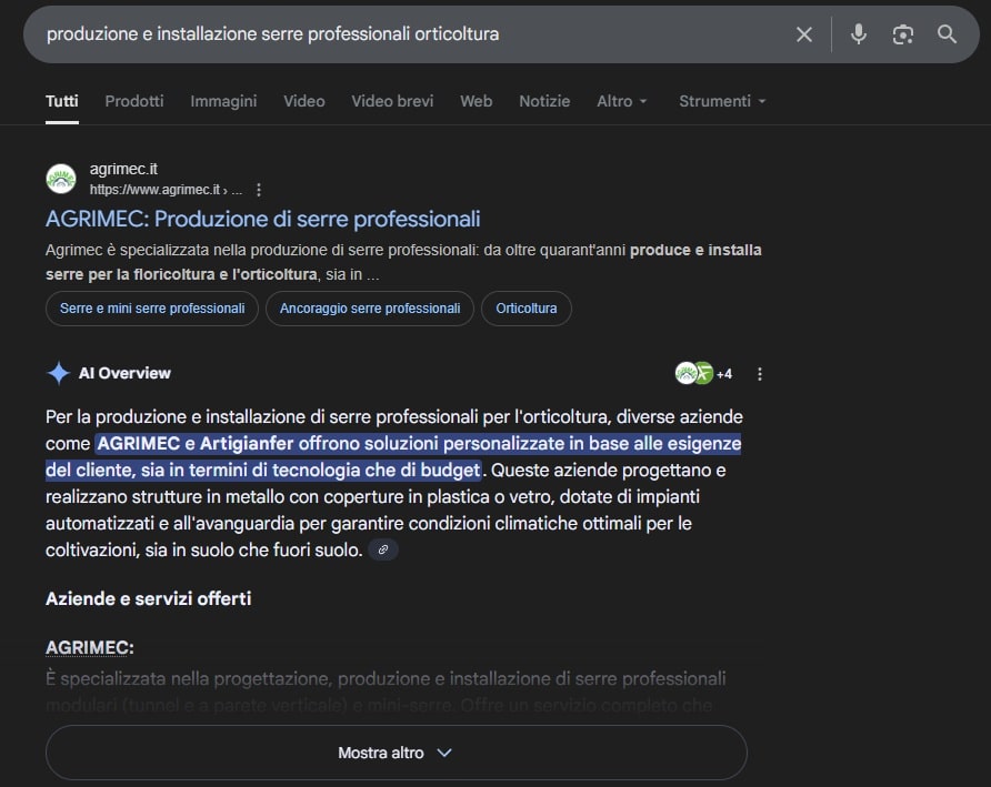 Prima posizione Google per Agrimec