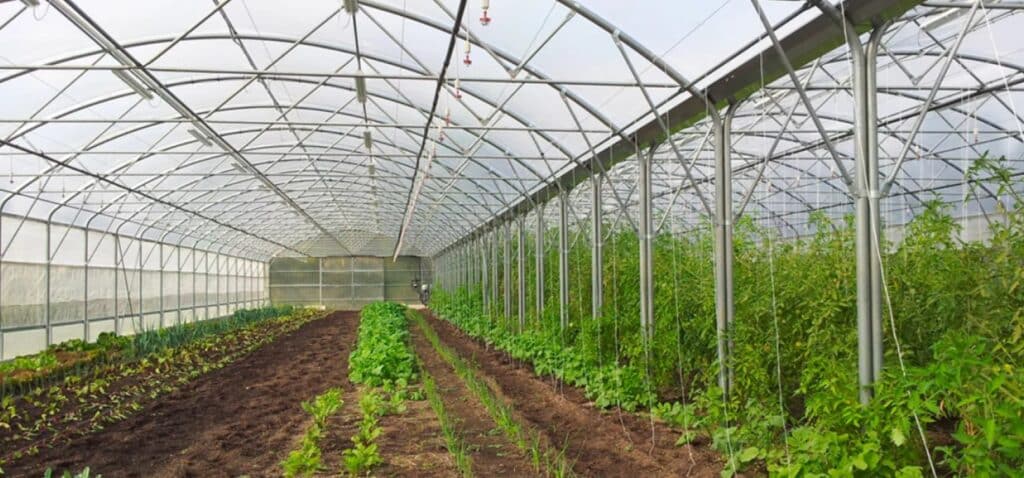 Seo per settore agritech